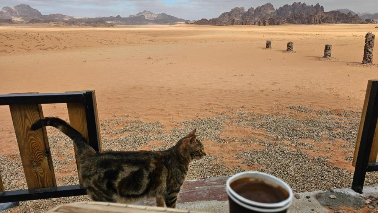 Bedouin Life Camp Hotell Wadi Rum Exteriör bild